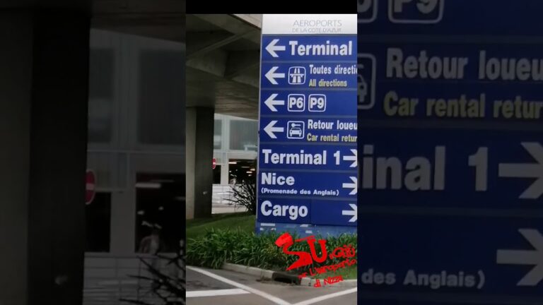 Nizza: il nuovo terminal 1 e 2 dell'aeroporto che incanta i viaggiatori